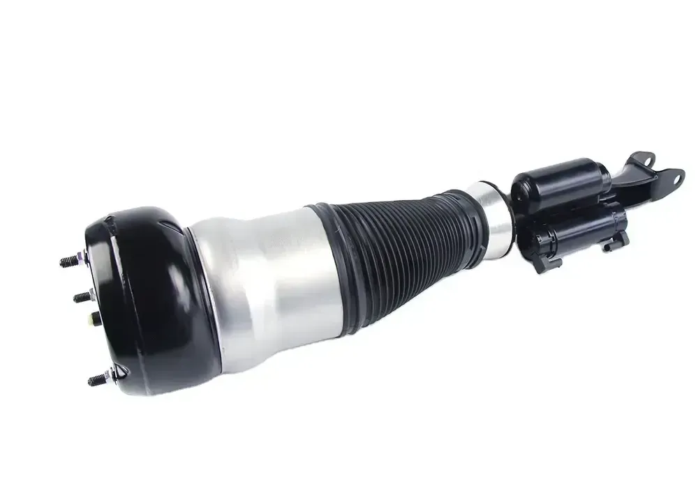 a2223202100   front shock absorber